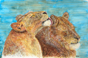 Lion Love Canvas Giclée Print